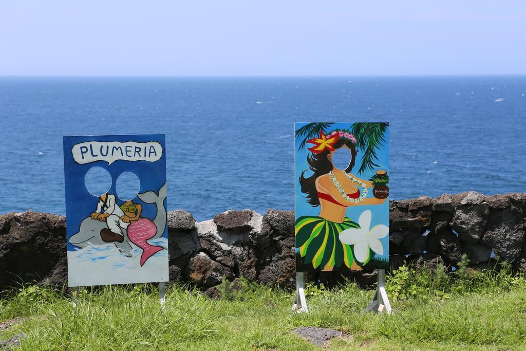 Plumeria Pension Jeju Luaran gambar